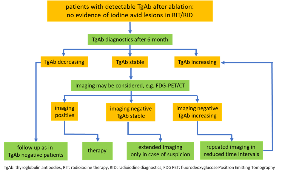 Diagnostic concept for iodine-negative patients after adjuvant radioiodine therapy and detectable TgAb
